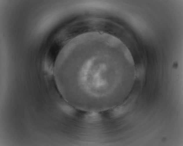 X0000101110431200807171940