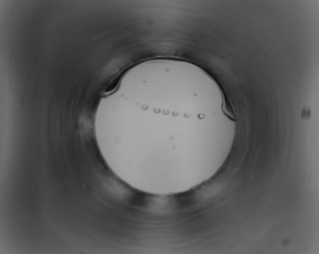 X0000101110432200807171940