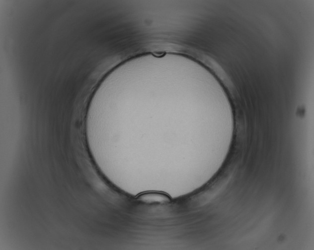 X0000101110433200807171940