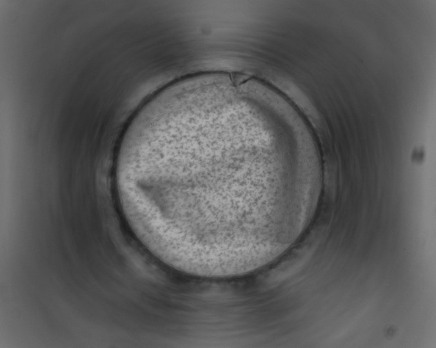 X0000101110434200807171940