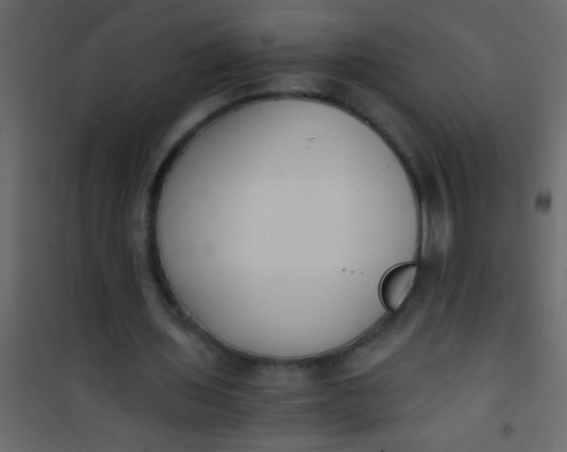 X0000101110435200807171940