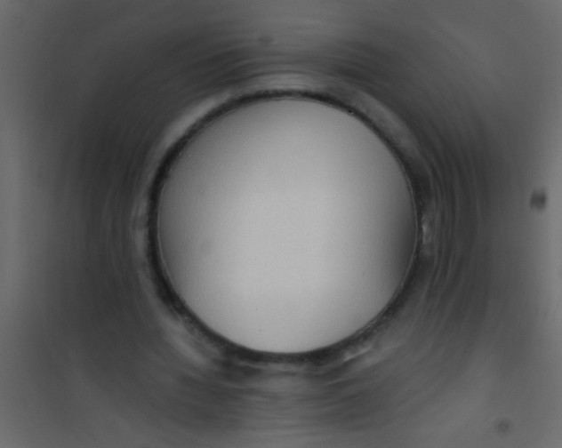 X0000101110436200807171940