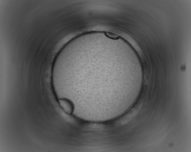 X0000101110437200807171940