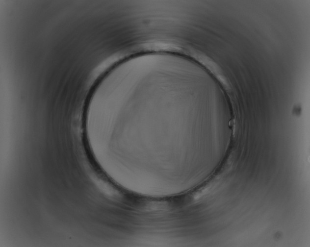 X0000101110438200807171940