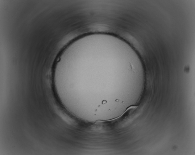 X0000101110439200807171940