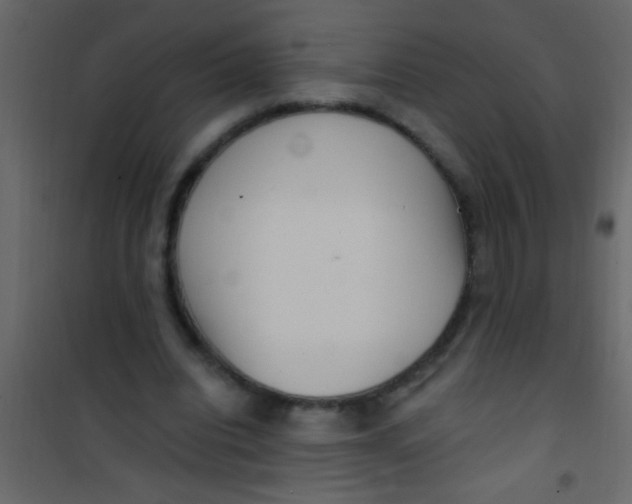 X0000101110440200807171940