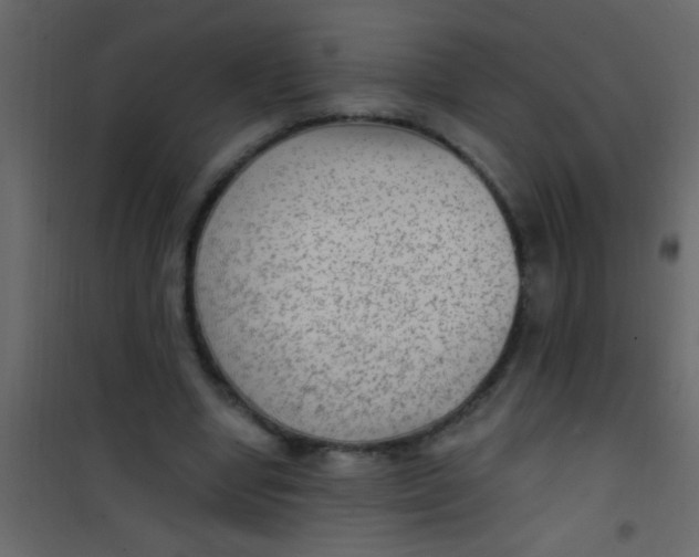 X0000101110442200807171940