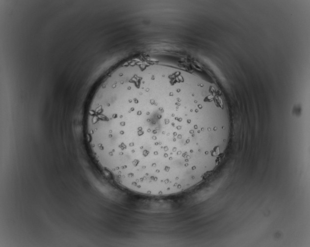 X0000101110443200807171940