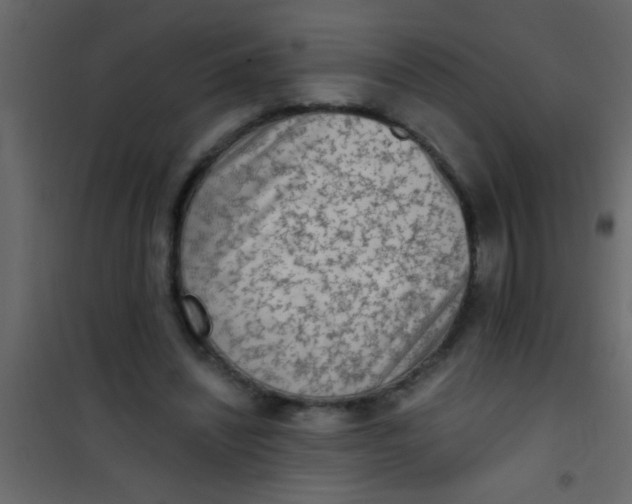 X0000101110444200807171940