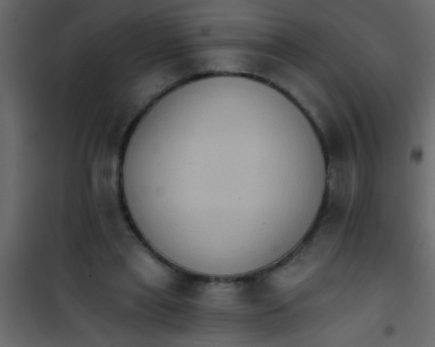 X0000101110445200807171940