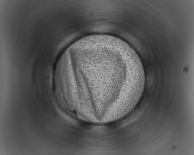 X0000101110446200807171940