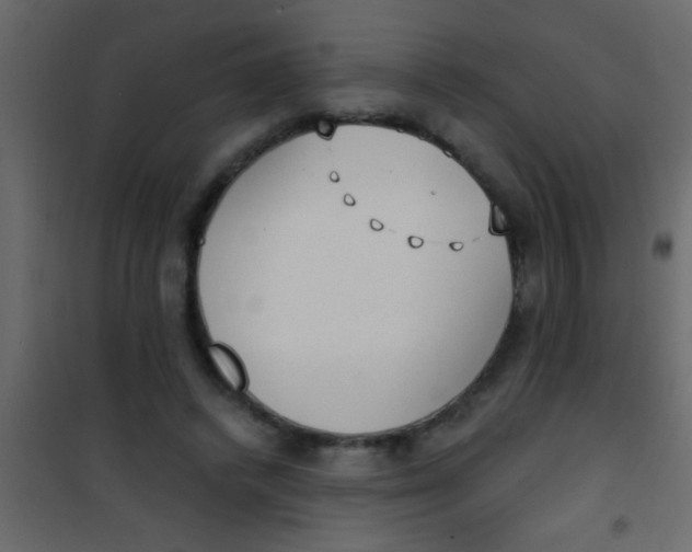 X0000101110448200807171940