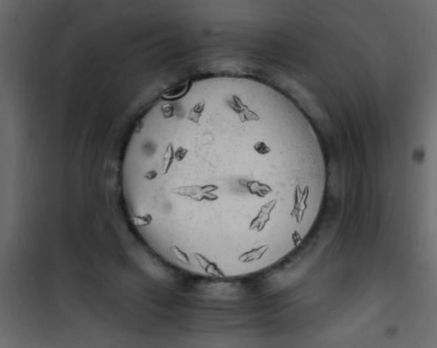 X0000101110449200807171940