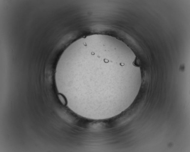 X0000101110452200807171940