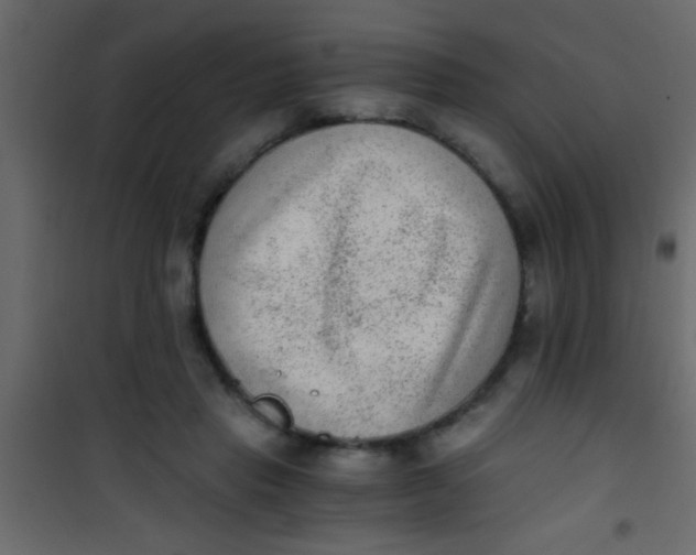 X0000101110453200807171940