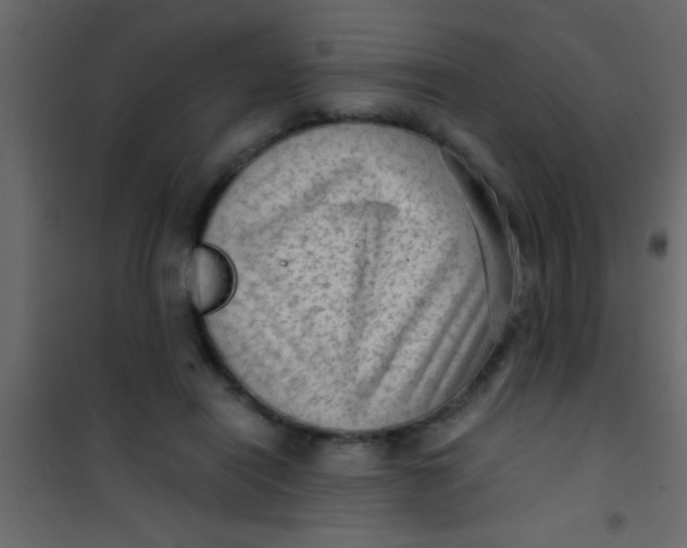 X0000101110454200807171940