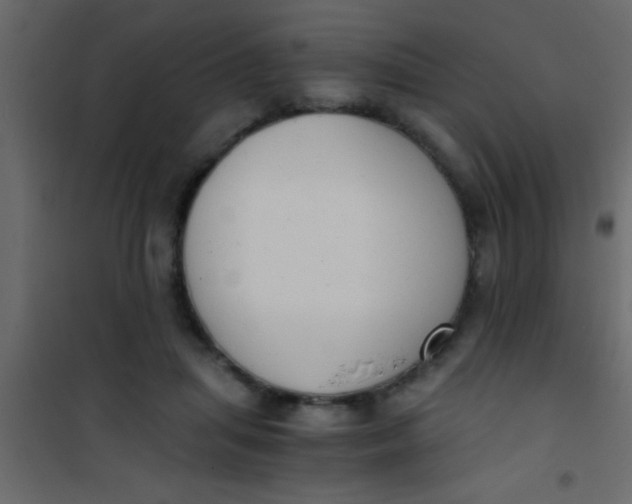 X0000101110455200807171940