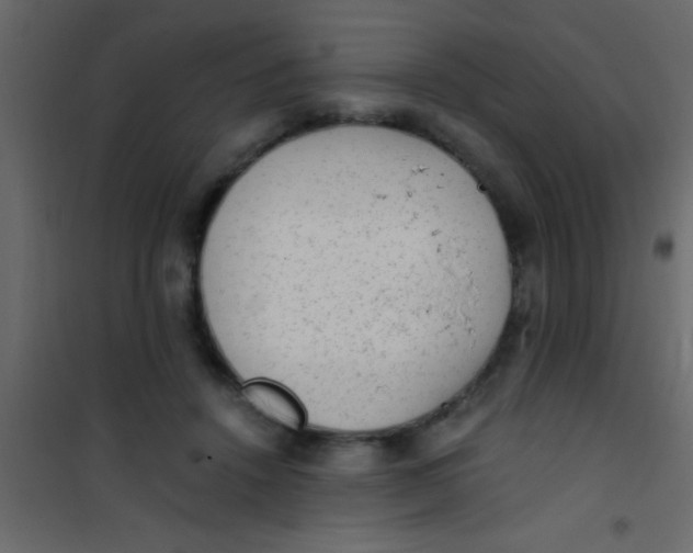 X0000101110456200807171940