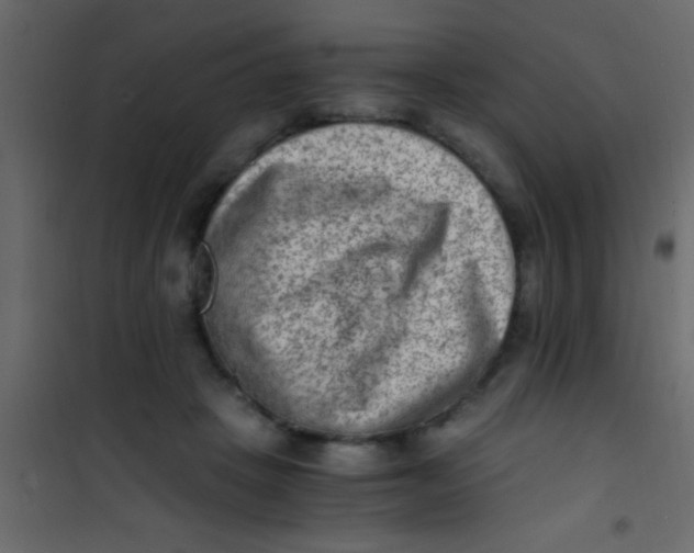 X0000101110457200807171940