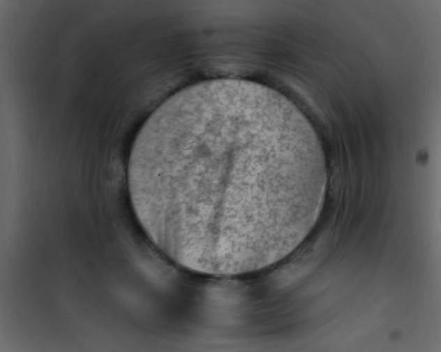 X0000101110459200807171940