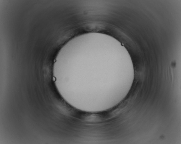 X0000101110460200807171940