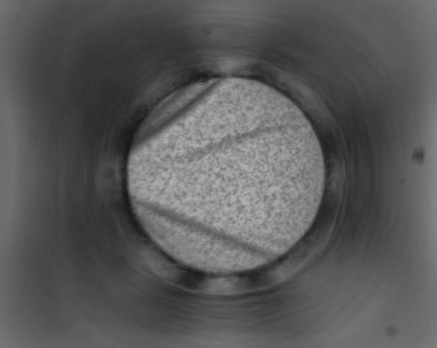 X0000101110461200807171940