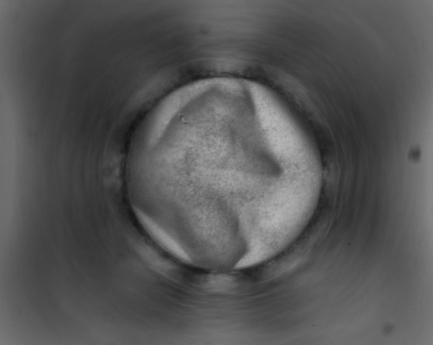 X0000101110462200807171940
