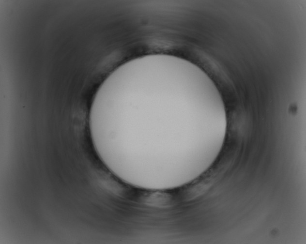 X0000101110463200807171940