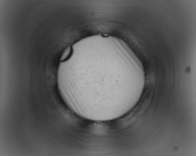 X0000101110464200807171940