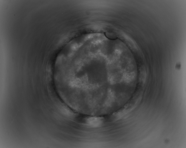 X0000101110465200807171940