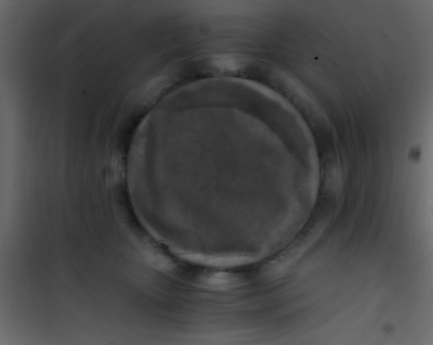 X0000101110467200807171940