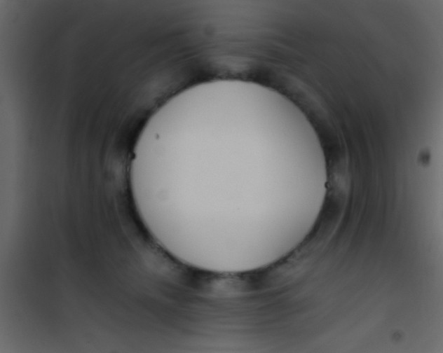 X0000101110468200807171940