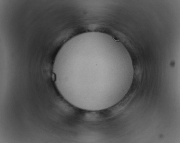 X0000101110470200807171940