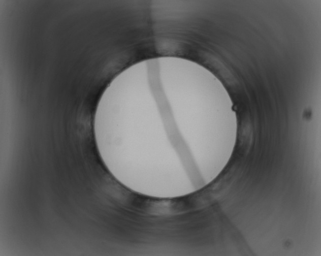 X0000101110473200807171940