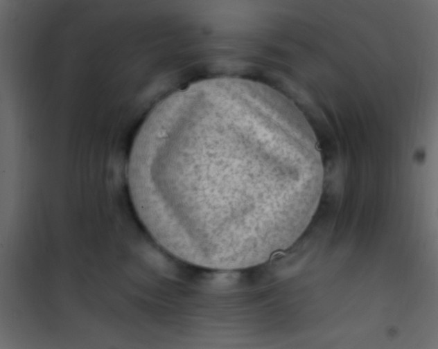 X0000101110474200807171940