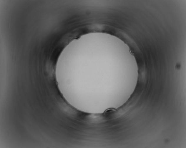 X0000101110477200807171940