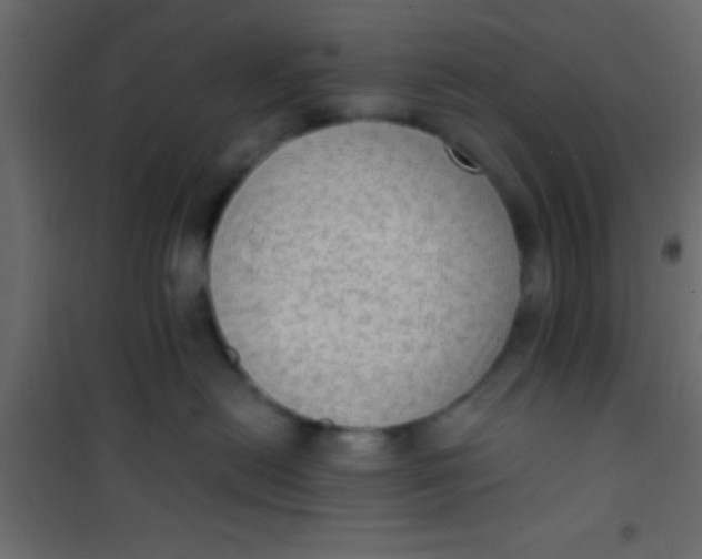 X0000101110478200807171940