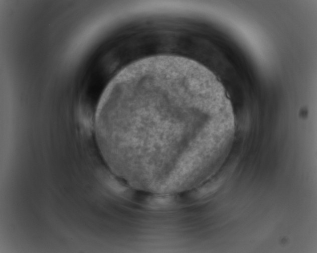 X0000101110479200807171940