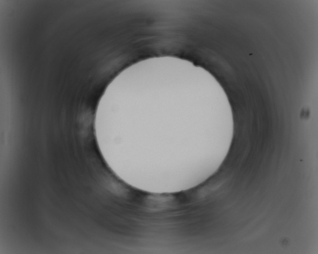 X0000101110480200807171940