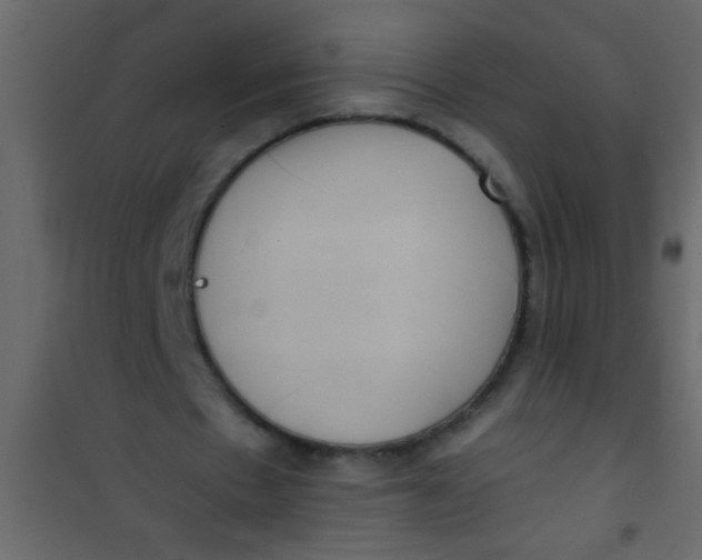 X0000101110481200807171940