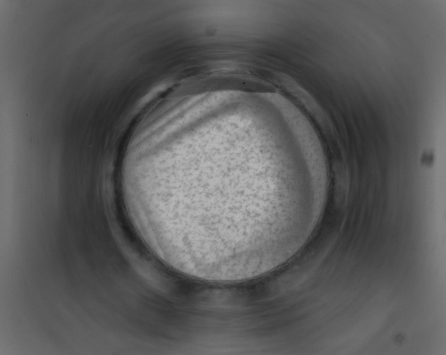 X0000101110482200807171940
