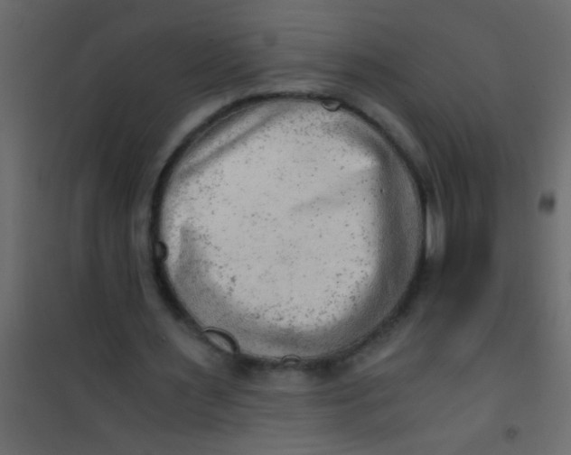 X0000101110483200807171940