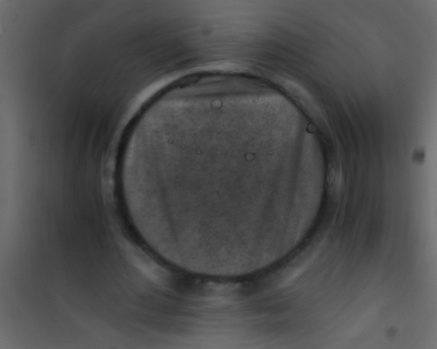 X0000101110484200807171940