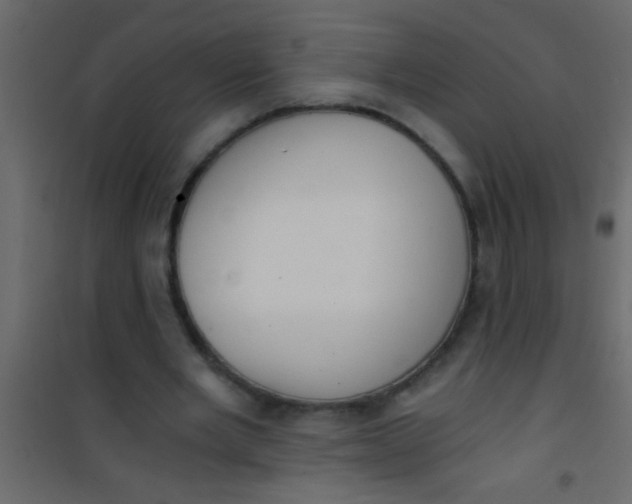 X0000101110485200807171940