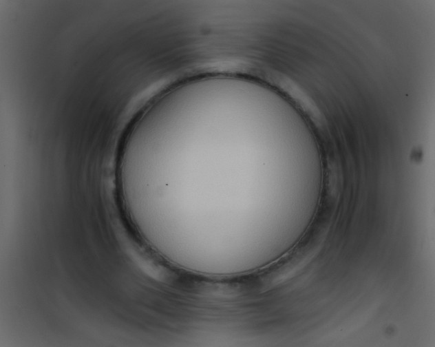 X0000101110486200807171940