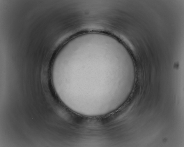 X0000101110487200807171940