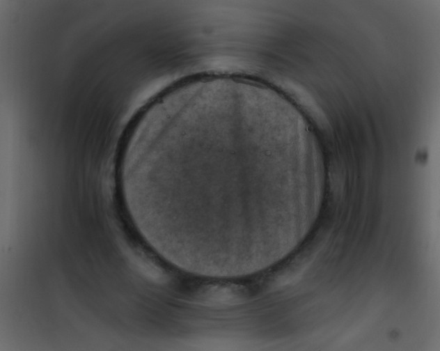 X0000101110488200807171940