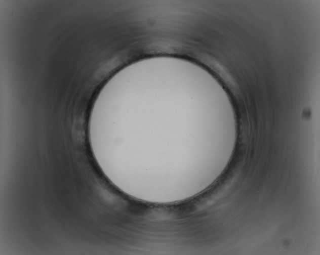 X0000101110489200807171940