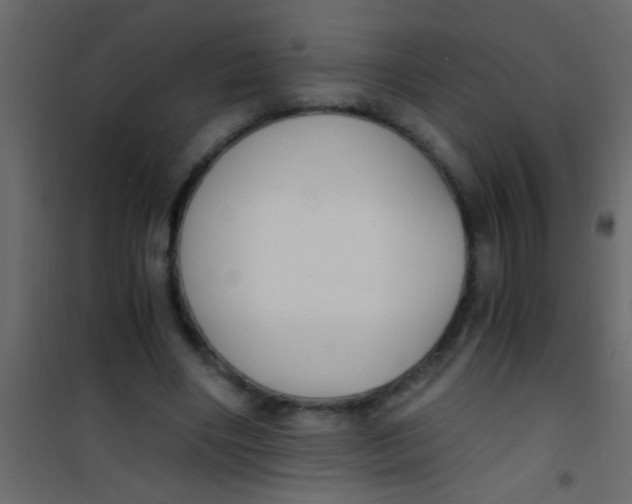 X0000101110490200807171940