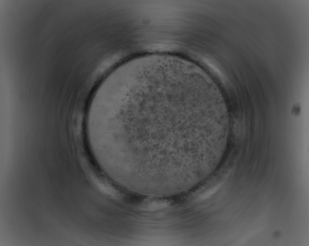 X0000101110491200807171940
